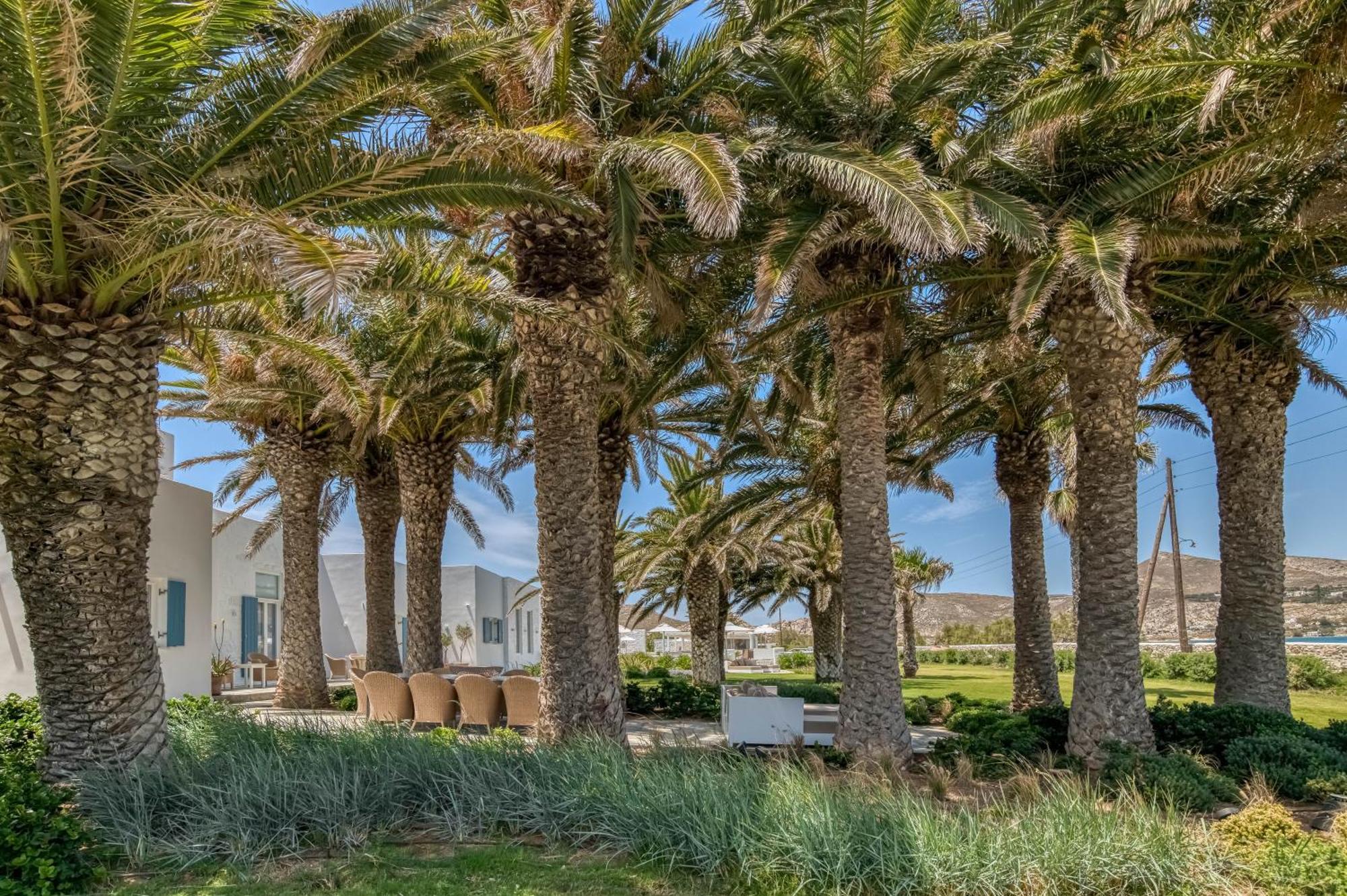 Villa Bellonia Naousa  Exterior photo